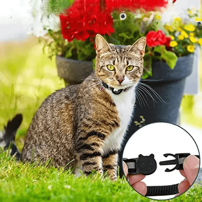 Collier Chat Réfléchissant avec Support AirTag Réglable