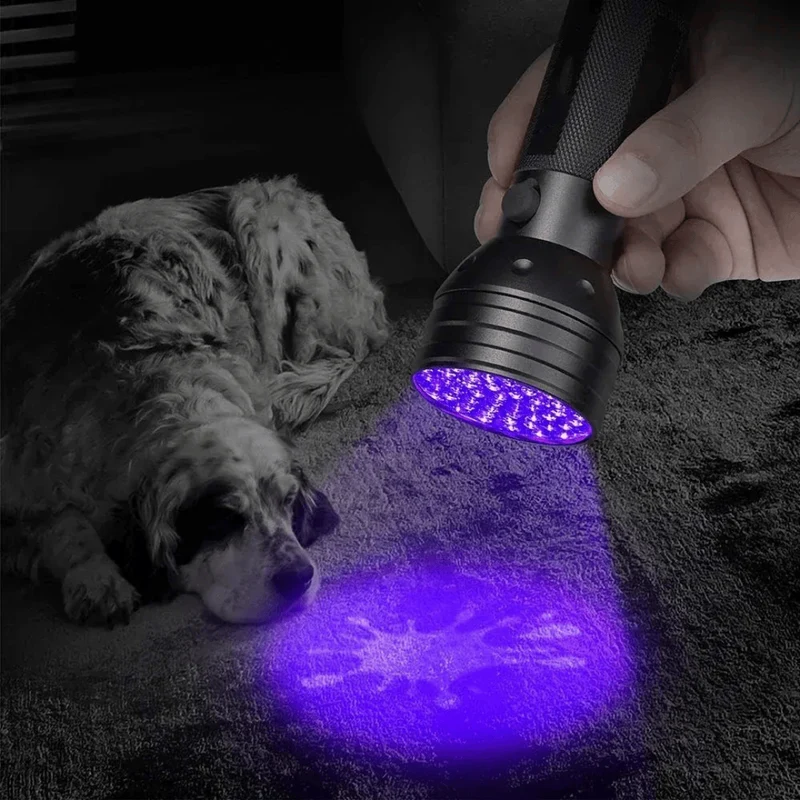 Lampe Torche UV LED 395nm Détecteur Taches Animaux