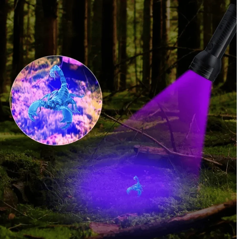 Lampe Torche UV LED 395nm Détecteur Taches Animaux