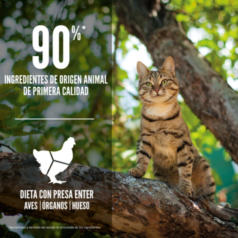 Orijen Cat Guardian 8 Pienso para Gatos