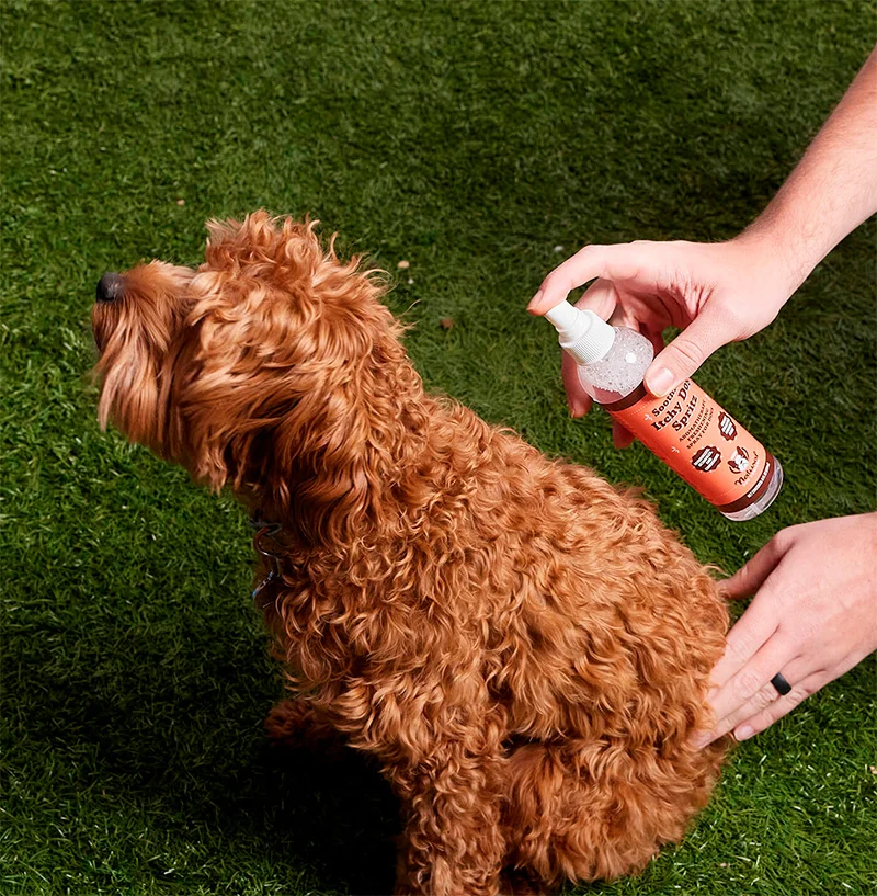 Itchy Dog Spray (picores)