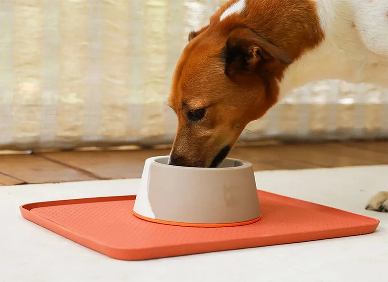Zee.Dog Desert Bowl