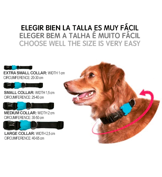 Zee.Dog Canyon Collar