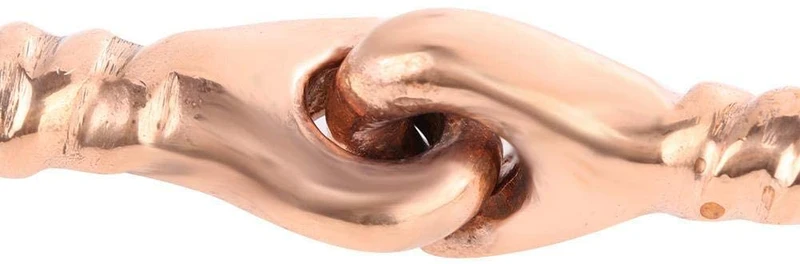 HEEPDD - Broca de acero inoxidable para caballo con forma de serpiente, para todo tipo de propósitos, broca de acero inoxidable