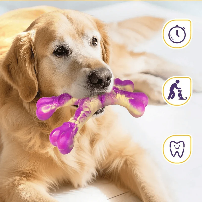 Jouet à Mâcher Résistant pour Chien Saveur Bœuf