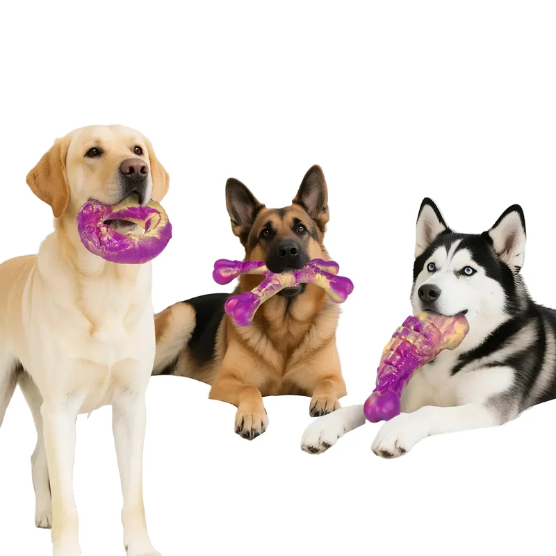 Jouet à Mâcher Résistant pour Chien Saveur Bœuf
