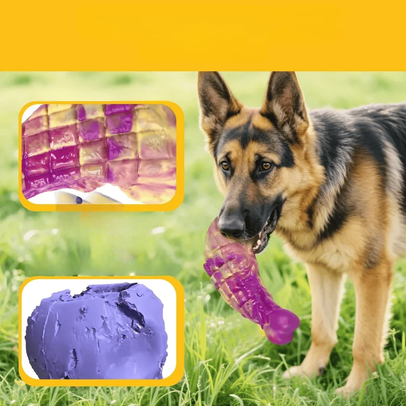 Jouet à Mâcher Résistant pour Chien Saveur Bœuf