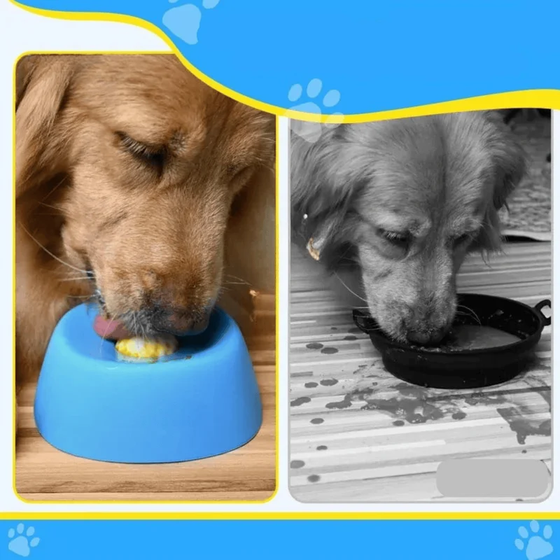 Gamelle Léchage Anti-Glouton pour Chien avec Friandises Liquides