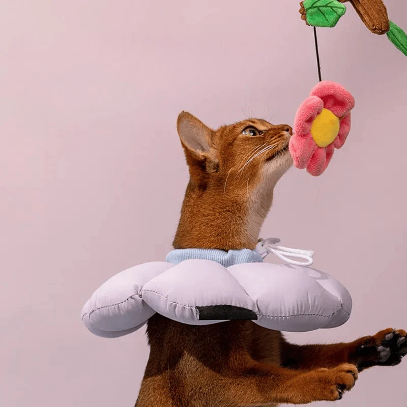 Collerette de Protection Fleur pour Chat Réglable