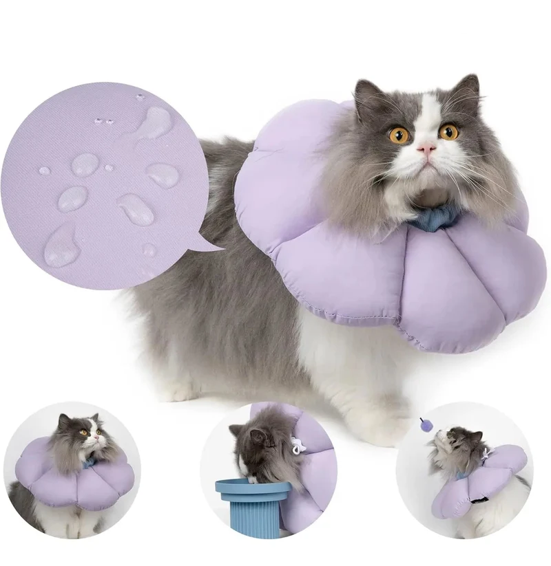 Collerette de Protection Fleur pour Chat Réglable