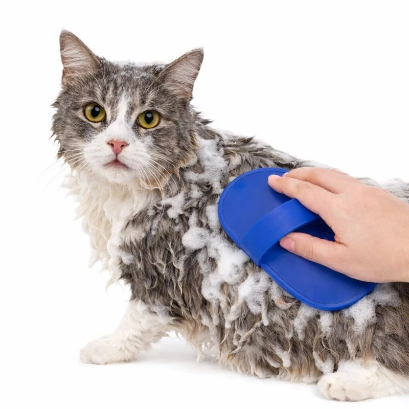 Brosse de Toilettage en Silicone pour Chiens et Chats