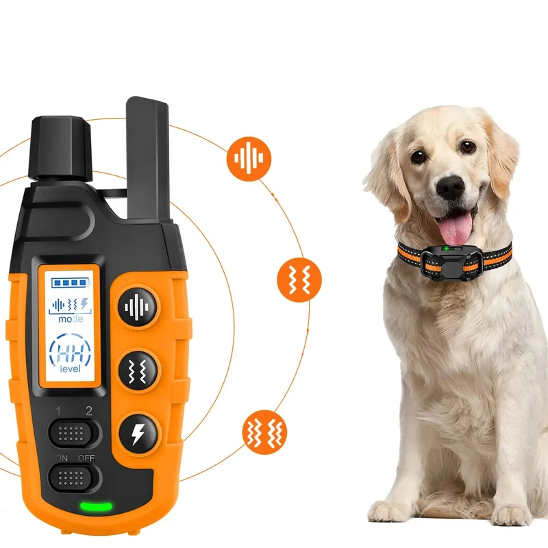 Collier de Dressage pour Chien avec Télécommande Rechargeable