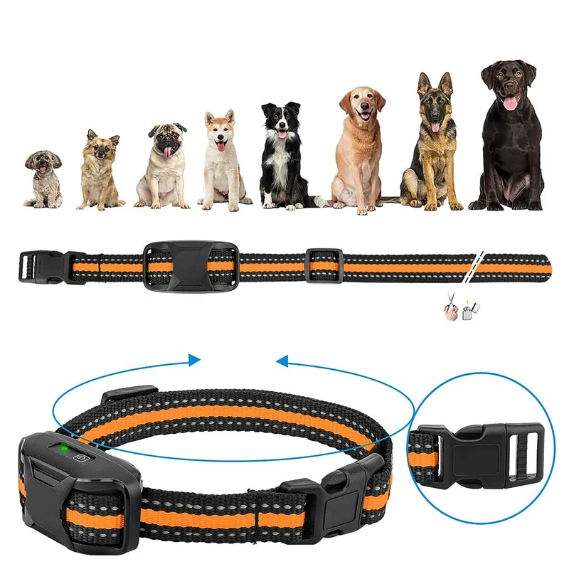 Collier de Dressage pour Chien avec Télécommande Rechargeable