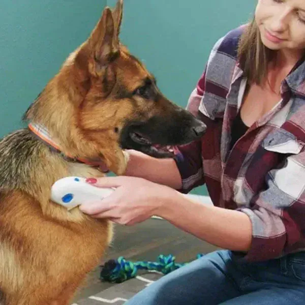 Peigne Électronique Anti-Puces pour Chien et Chat
