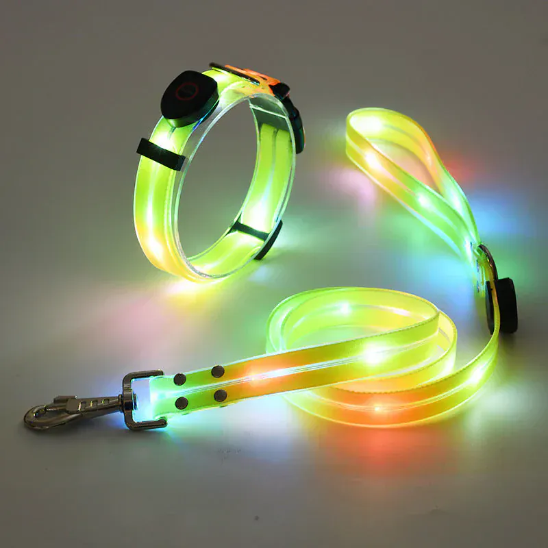 Collier et Laisse LED Rechargeables pour Chien