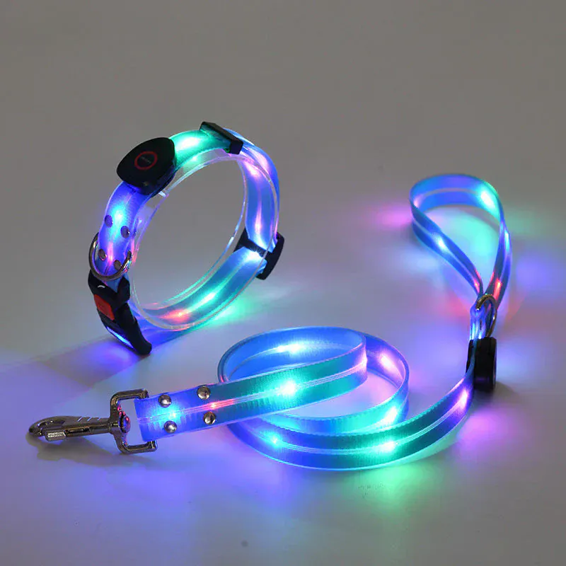Collier et Laisse LED Rechargeables pour Chien