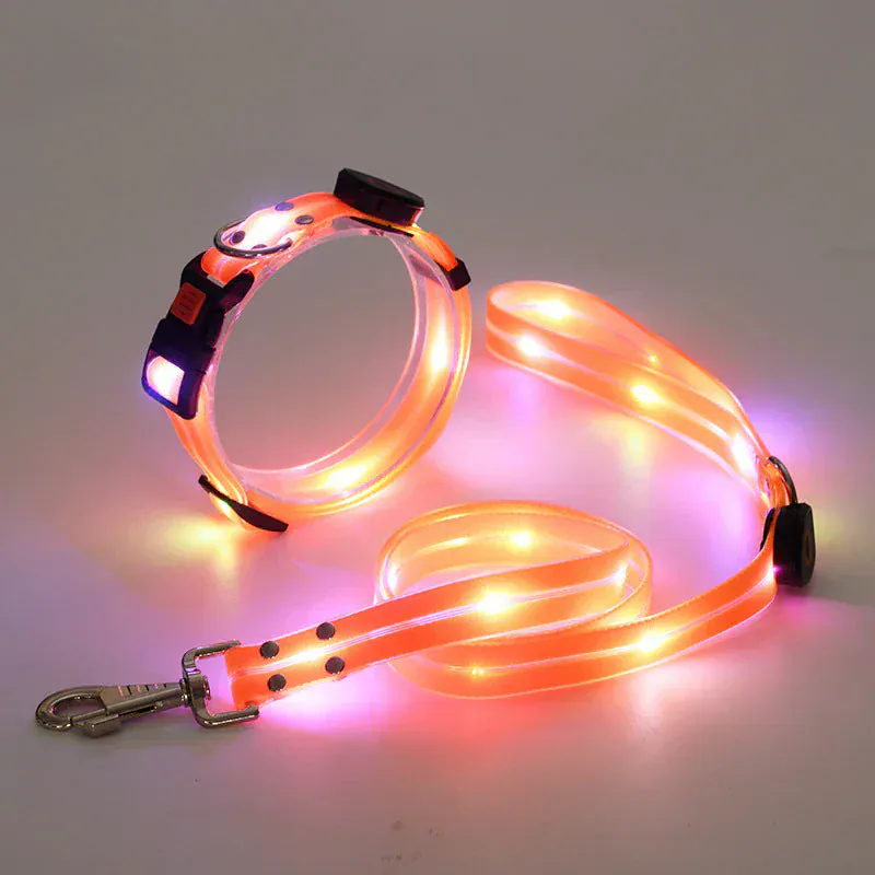 Collier et Laisse LED Rechargeables pour Chien