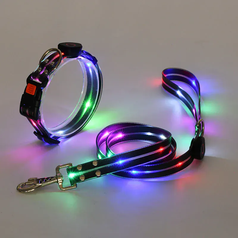 Collier et Laisse LED Rechargeables pour Chien