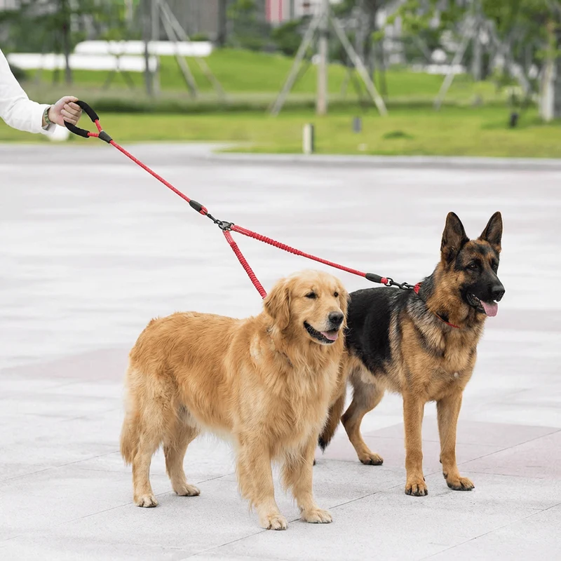 Laisse Double 2-en-1 pour Chien avec Rotule 360°
