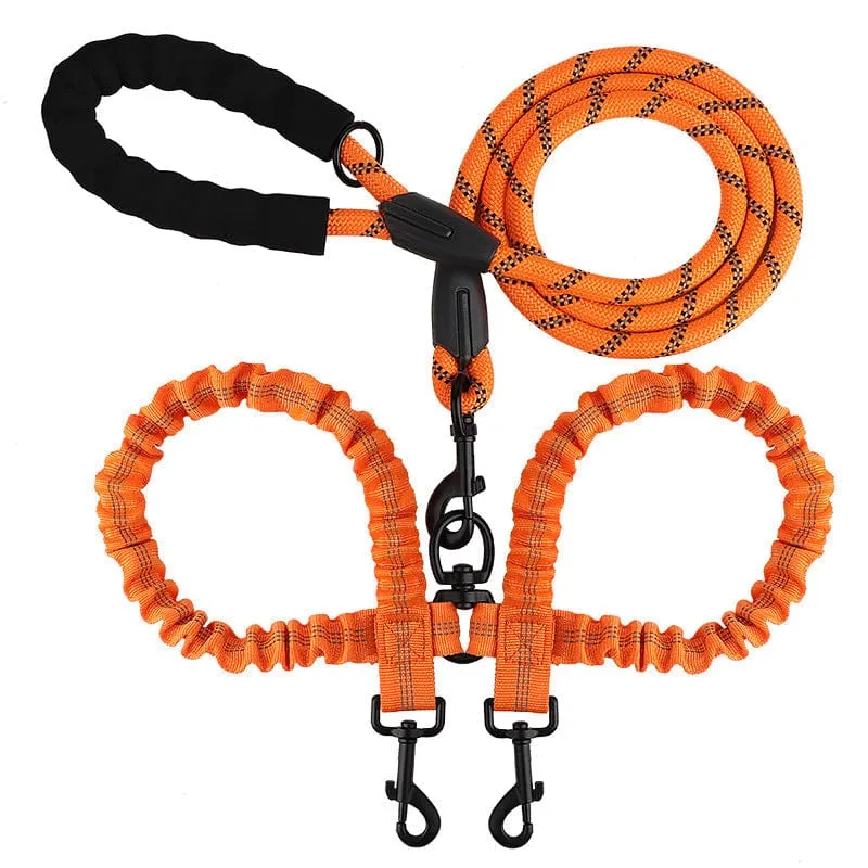 Laisse Double 2-en-1 pour Chien avec Rotule 360°