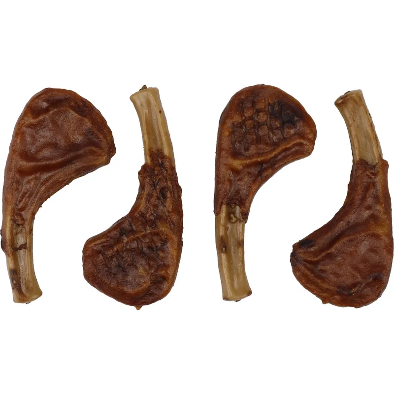Flamingo Snack BBQ para Perros Diferentes Sabores