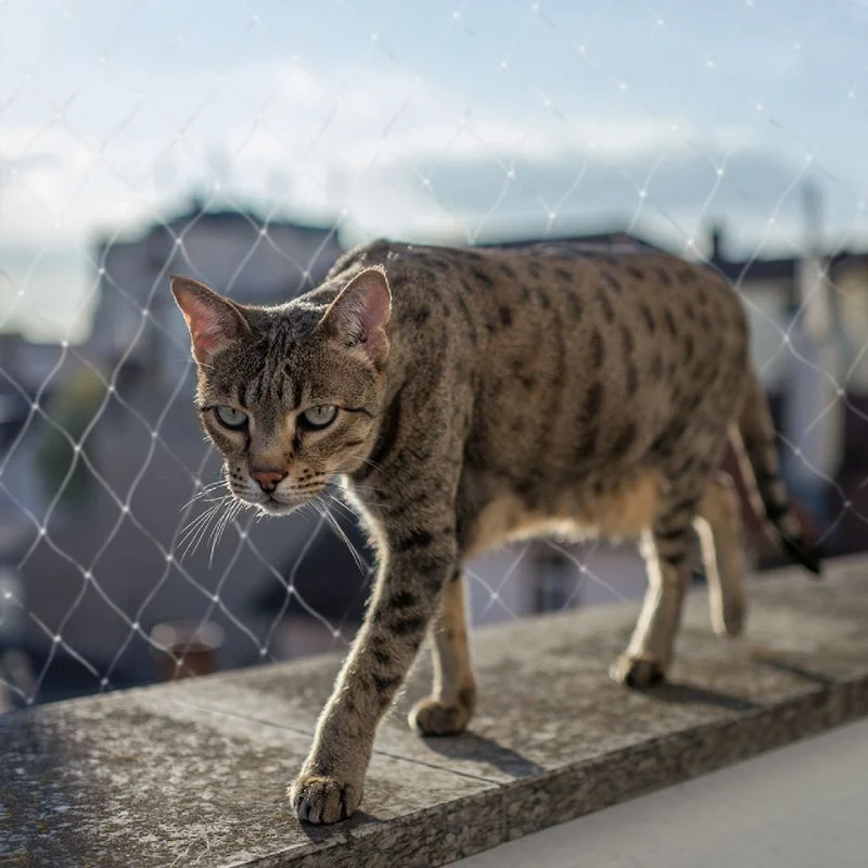 DUVO RED BALCONES GATOS
