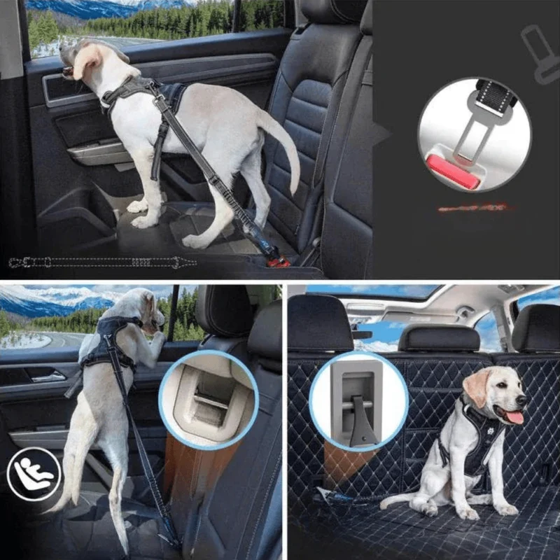 Ceinture de Sécurité Voiture 3-en-1 pour Chien