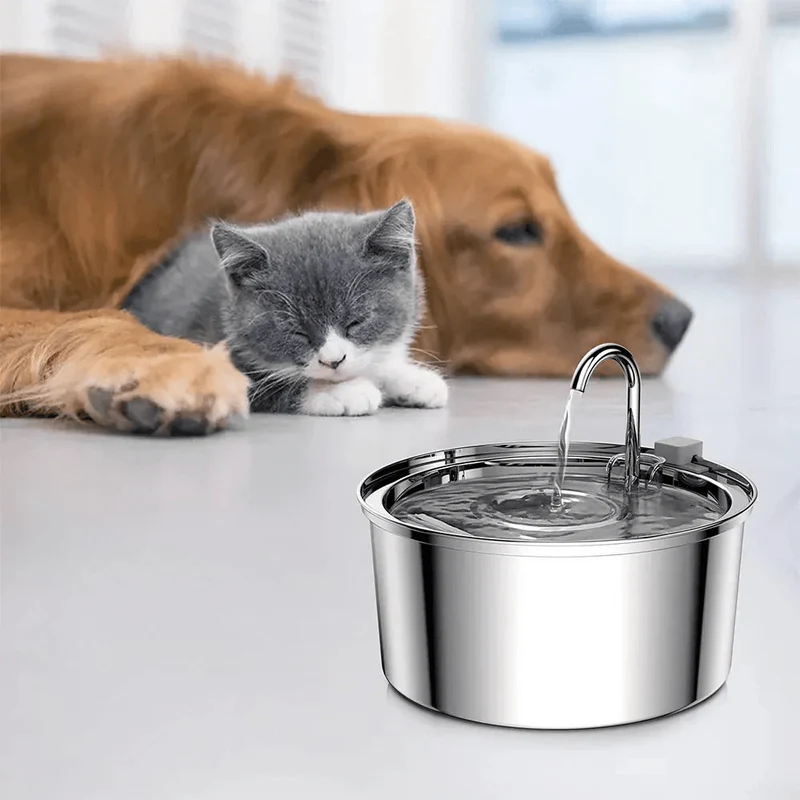 Fontaine à Eau Automatique 3,2L en Acier Inoxydable