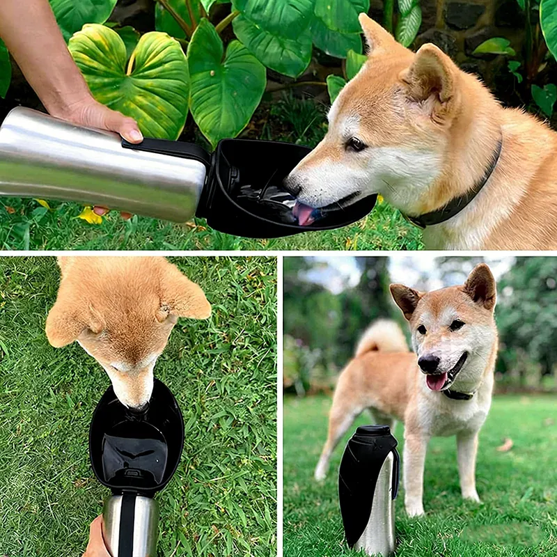 Gourde de Voyage pour Chien en Acier Inoxydable Pliable
