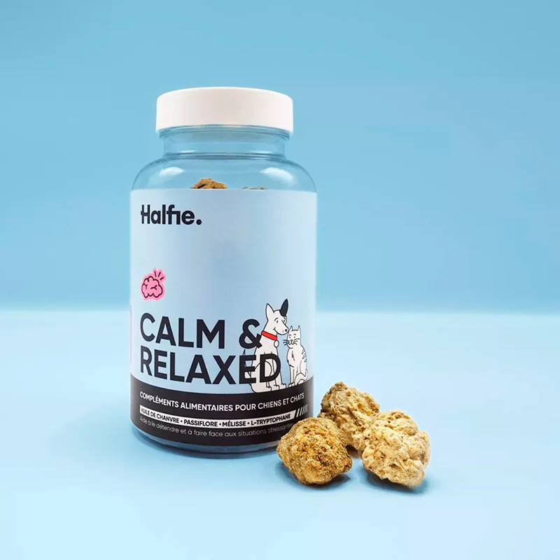 Halfie Calm & Relaxed