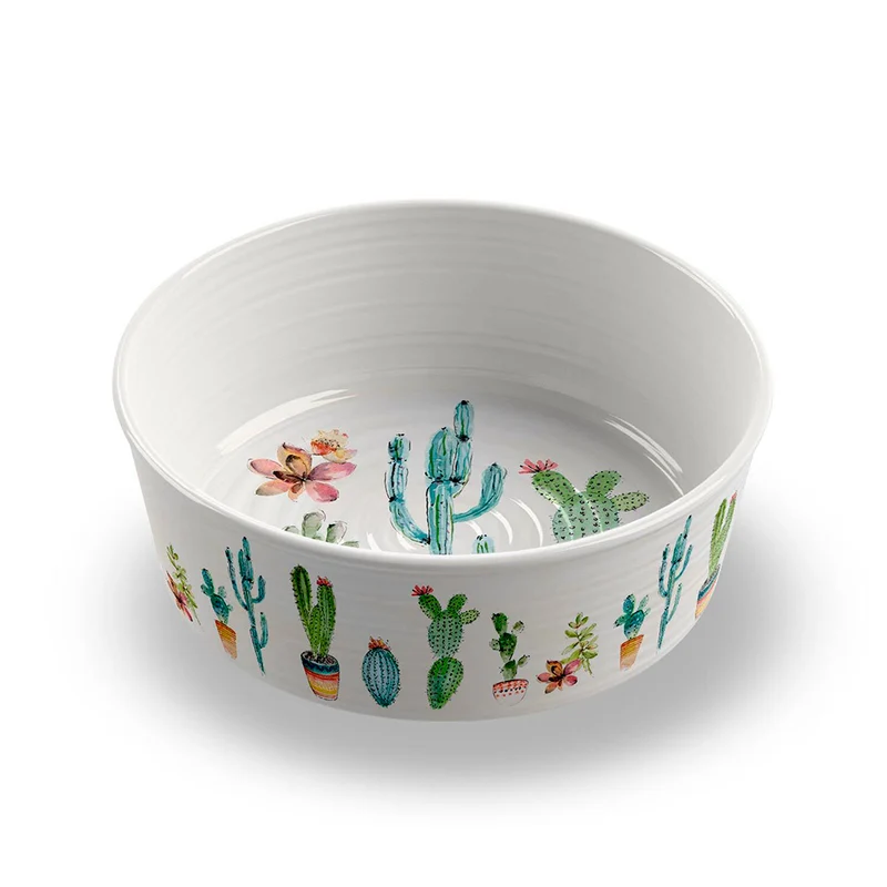 Bowl Tarhong Cactus