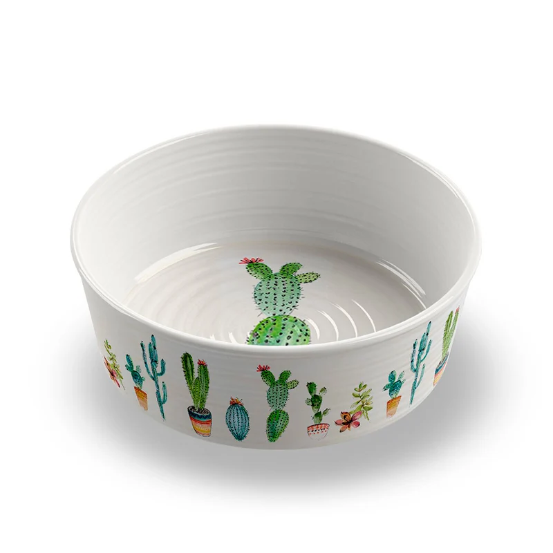 Bowl Tarhong Cactus