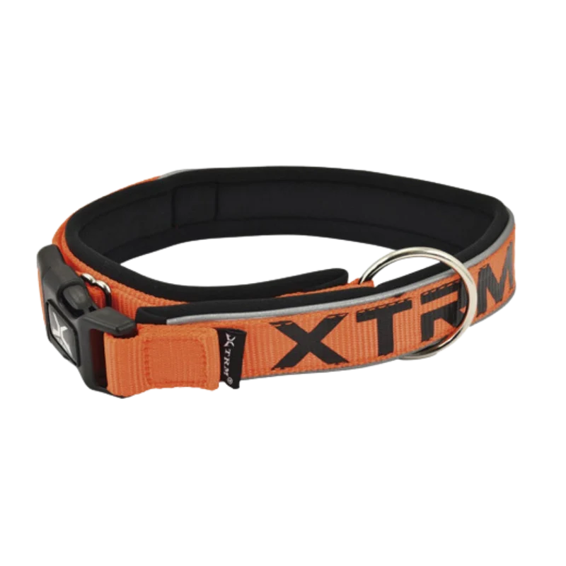 Nayeco Collar X-TRM Neon Flash para Perro