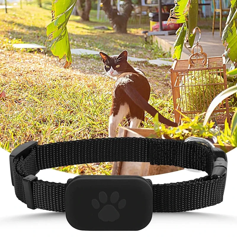Collier GPS Ajustable pour Chats et Petits Chiens avec Suivi via Application Mobile