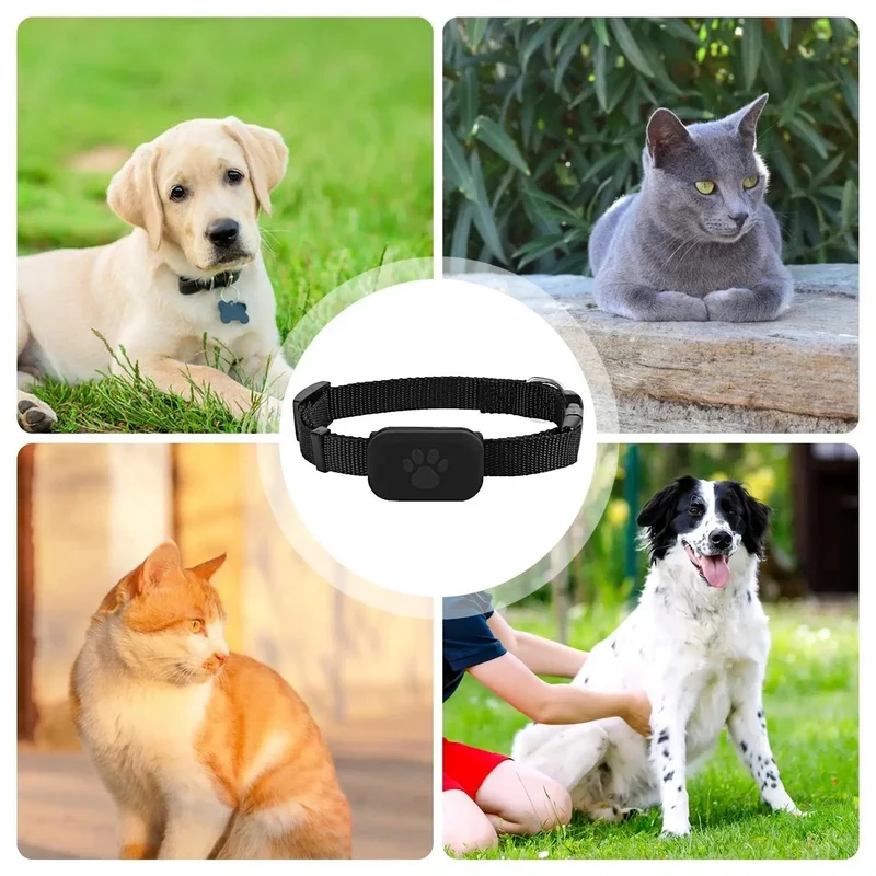 Collier GPS Ajustable pour Chats et Petits Chiens avec Suivi via Application Mobile