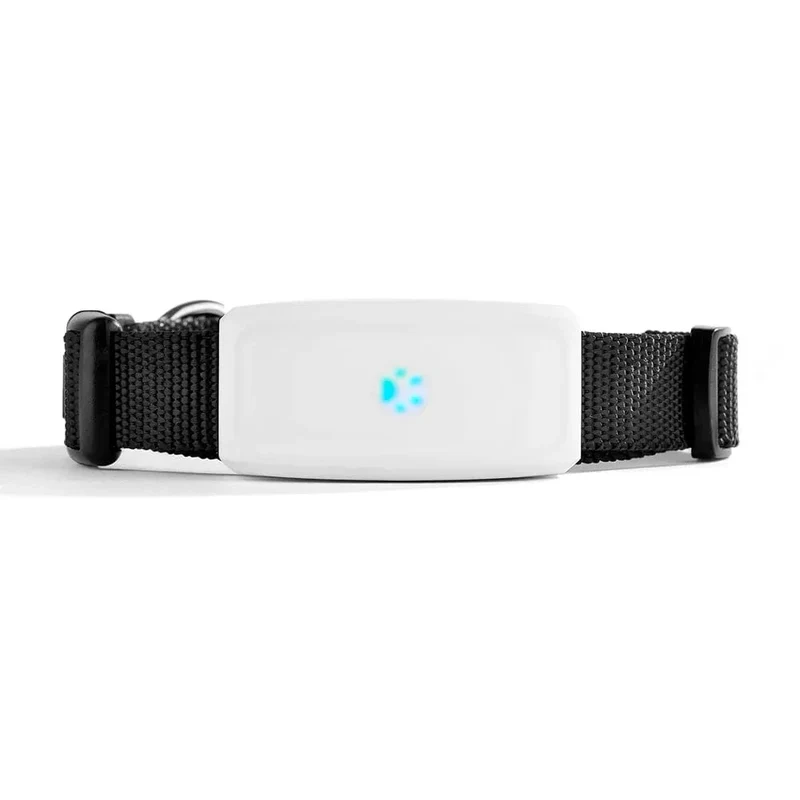 Collier avec Traceur GPS Étanche 2G pour Chien et Chat