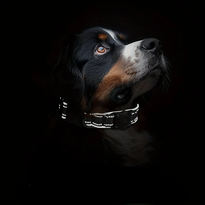 Collier Réglable pour Chien avec Support Étanche pour AirTag (AirTag non inclus)