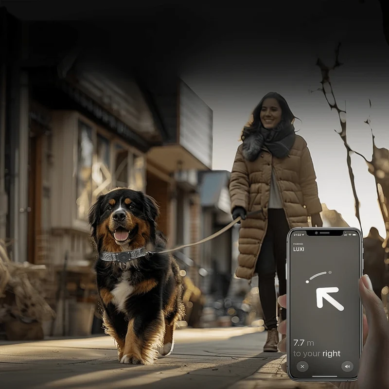 Collier Réglable pour Chien avec Support Étanche pour AirTag (AirTag non inclus)
