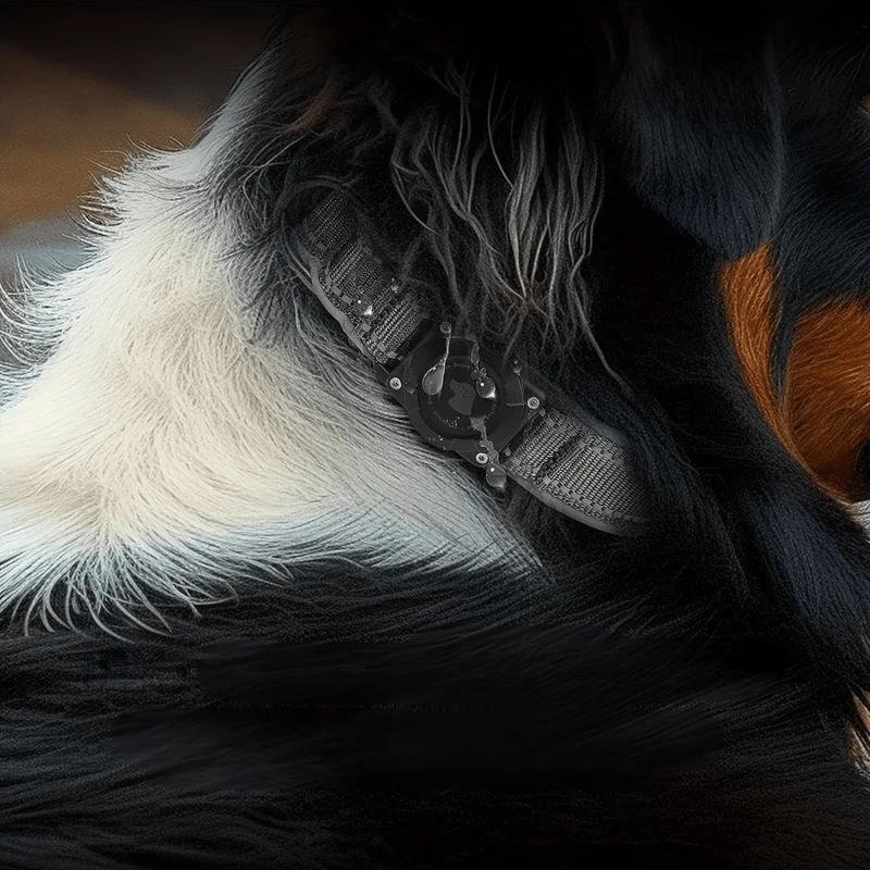 Collier Réglable pour Chien avec Support Étanche pour AirTag (AirTag non inclus)