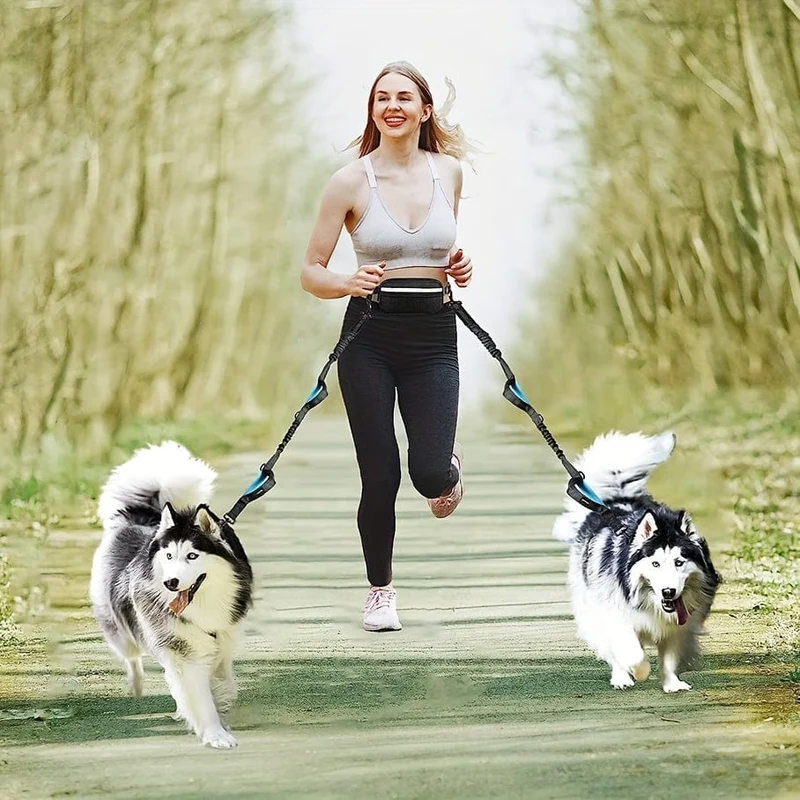 Laisse mains libres pour chien avec ceinture, double élastiques antichoc et pochette amovible