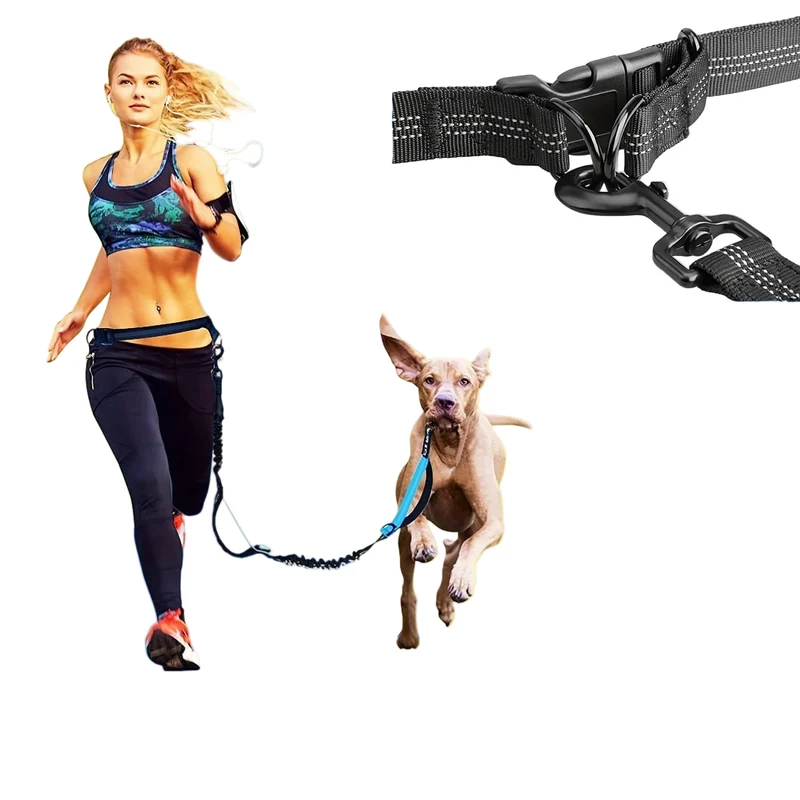 Laisse mains libres pour chien avec ceinture, double élastiques antichoc et pochette amovible