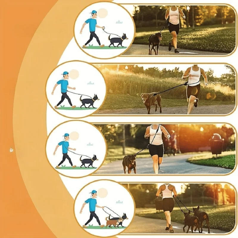 Laisse multifonction pour chien – simple, double ou mains libres – 2,1 m