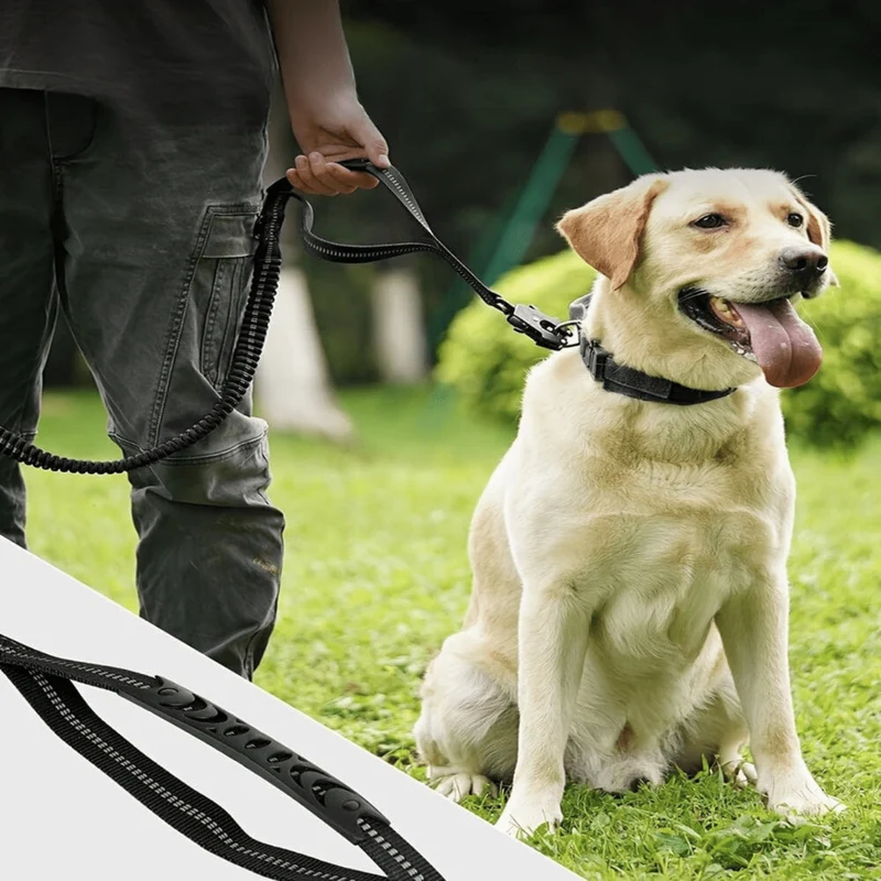 Laisse élastique antichoc pour chien avec poignée renforcée – longueur réglable