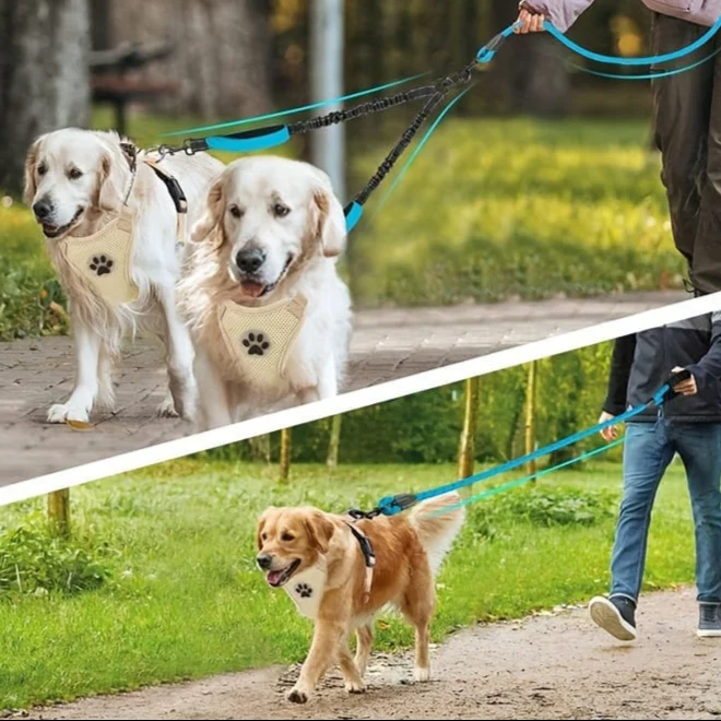 Laisse double réglable réfléchissante pour chiens – avec poignées et absorption de choc