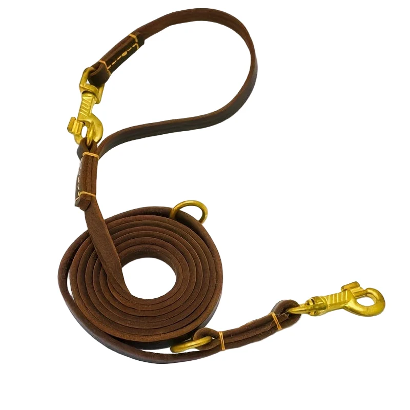 Laisse multifonction pour chien – 6 usages en 1, longueur 2,4 m