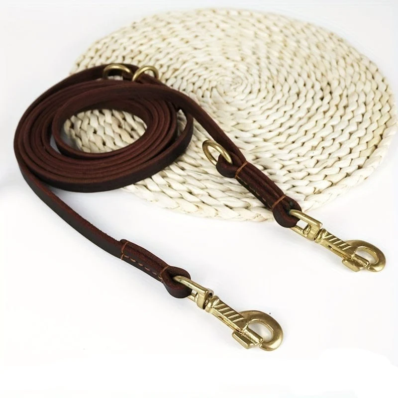 Laisse multifonction pour chien – 6 usages en 1, longueur 2,4 m