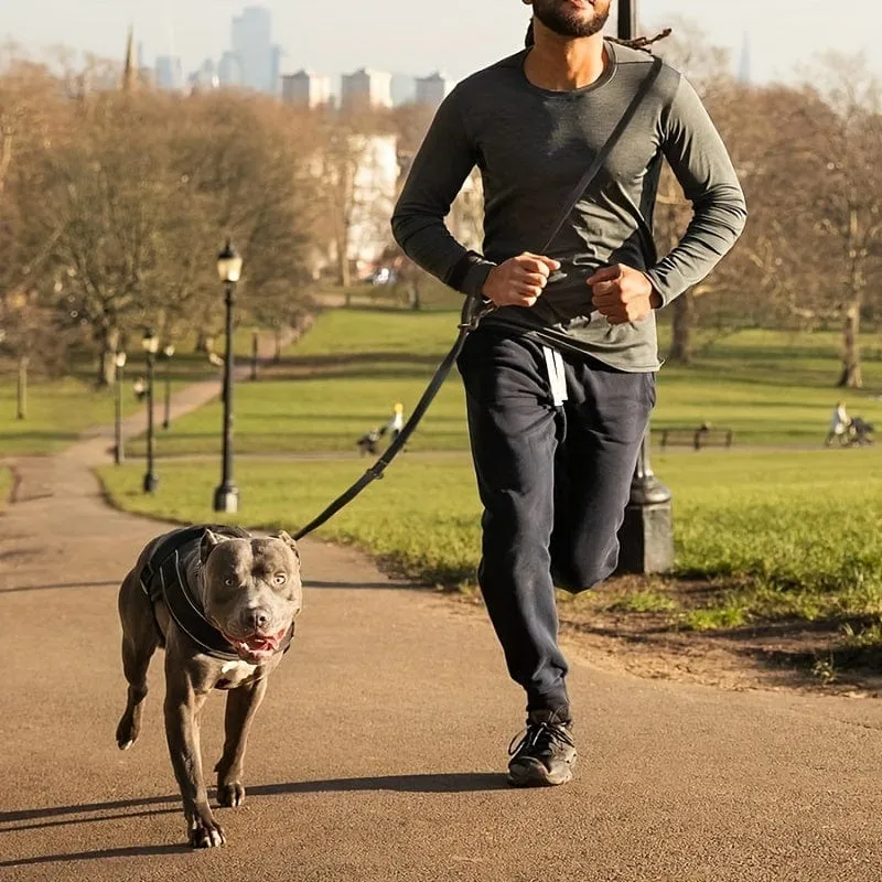 Laisse multifonction pour chien – 6 usages en 1, longueur 2,4 m