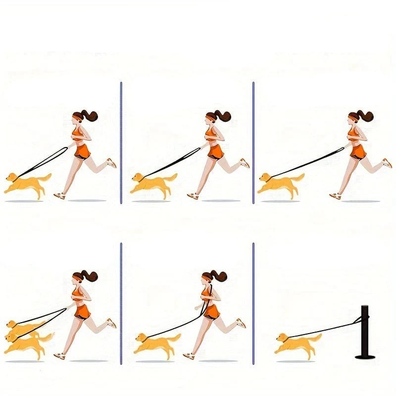 Laisse multifonction pour chien – 6 usages en 1, longueur 2,4 m