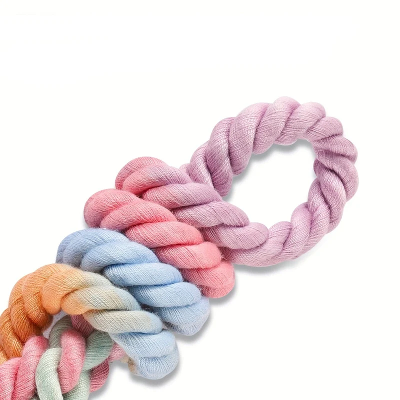Laisse tressée multicolore pour chien – 1,52 m avec mousqueton rotatif 360°