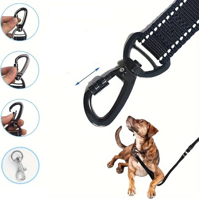 Laisse pour chien réglable avec amortisseur et poignée de contrôle – réfléchissante